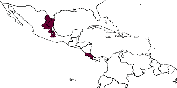 map of Clydonium quintanillai     Gauld, 1991